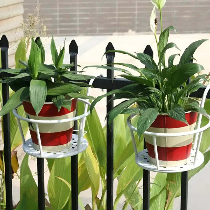 1+1 Free | Space-Saving Botanical Haven - Image 3