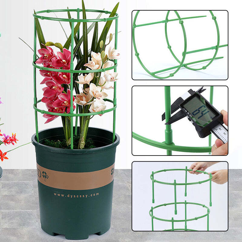 Growth Support System - Image 3