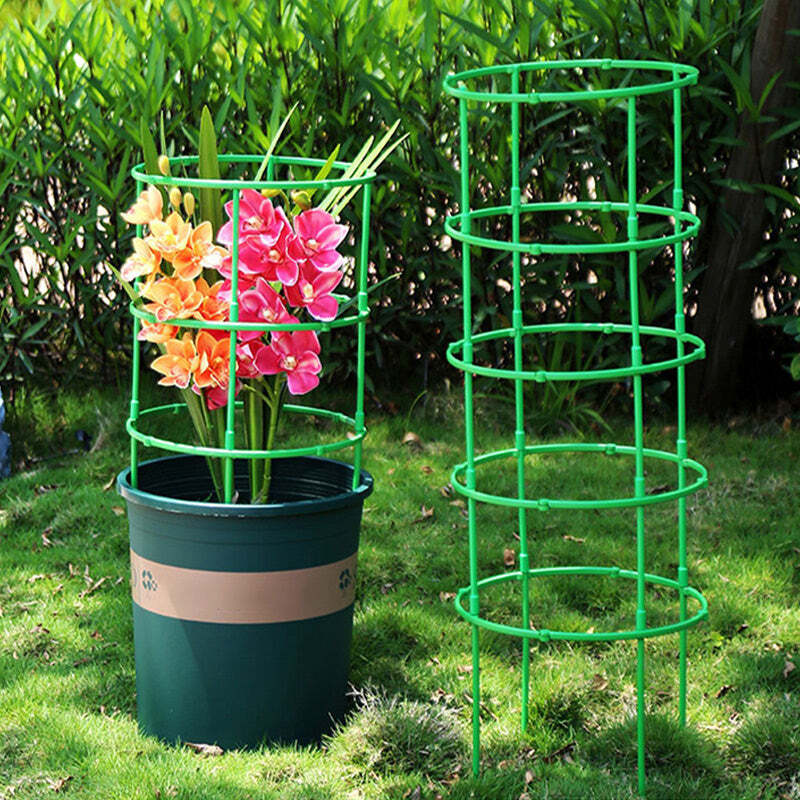Growth Support System - Image 4