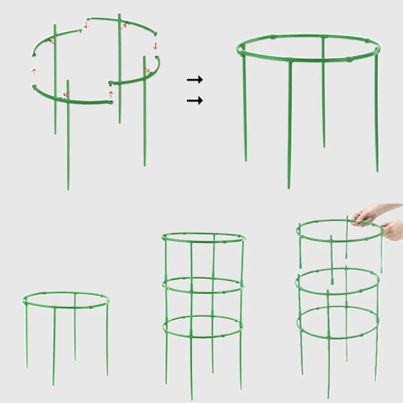 Growth Support System - Image 7