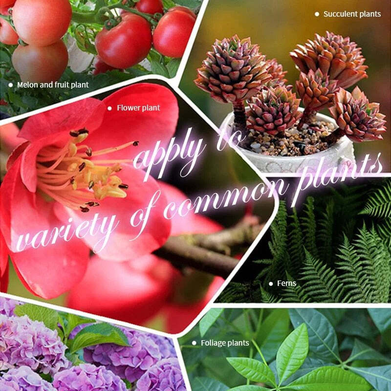 Revive Dead Plants - Image 6